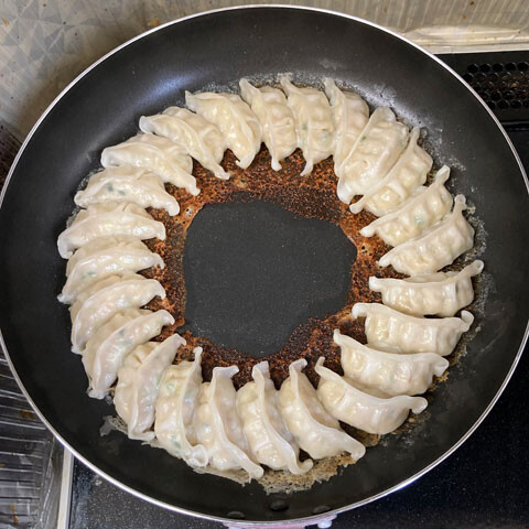 gyoza