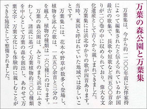 manyo