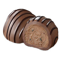 img_Truffe_exploraticur