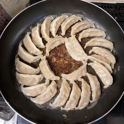 gyoza