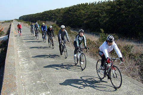 伊良湖サイクリング