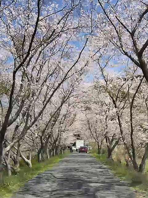 ohtagawa