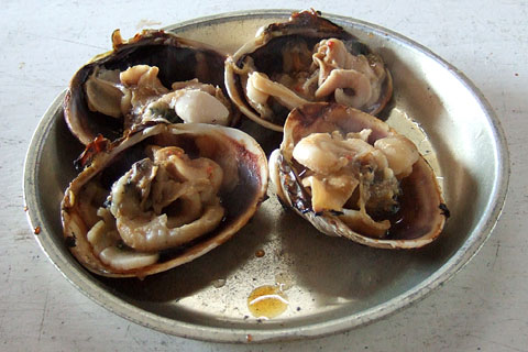 伊良湖サイクリング
