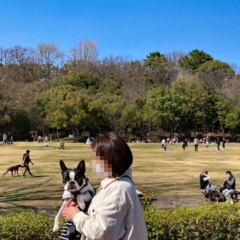 hamamatsu-jyo