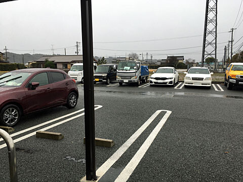 sawa
