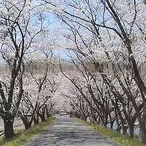 ohtagawa