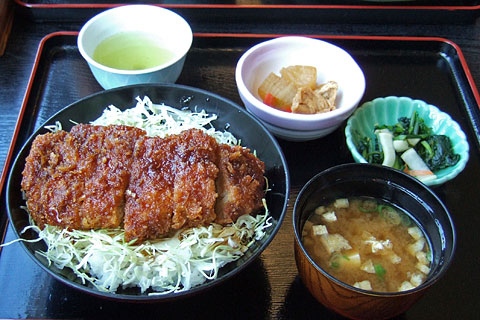 伊良湖サイクリング