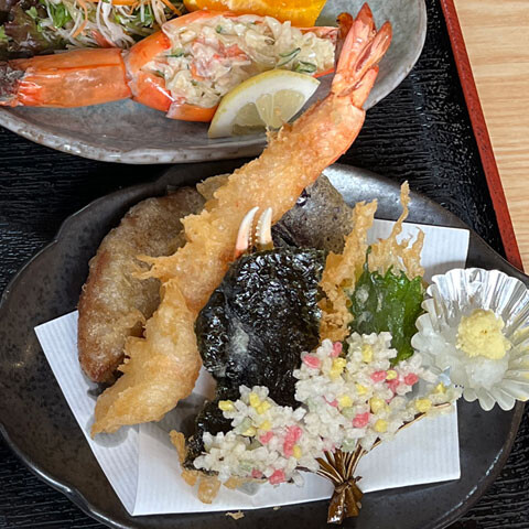 ToriyaChaya