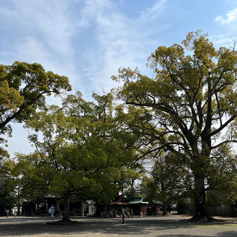 Shizuoka