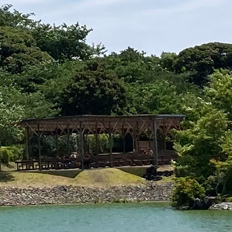 Ajisai