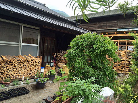 ��ͷ�����