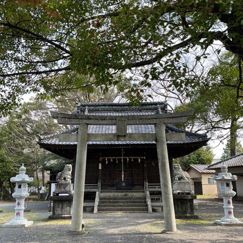 Shizuoka