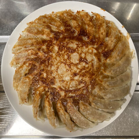 gyoza