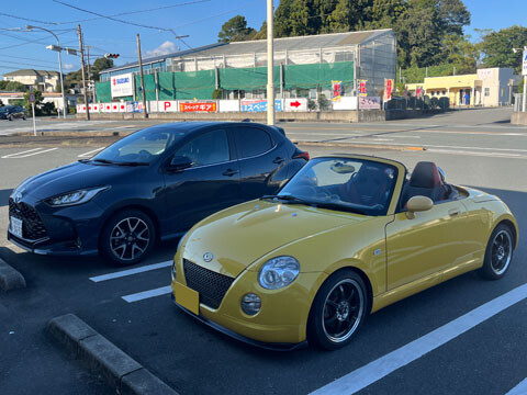 Yaris