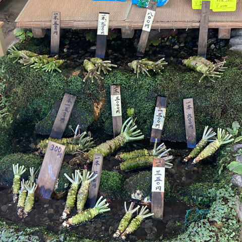 nanadaru
