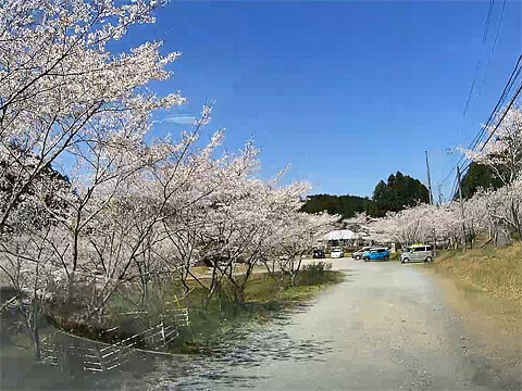 ohtagawa