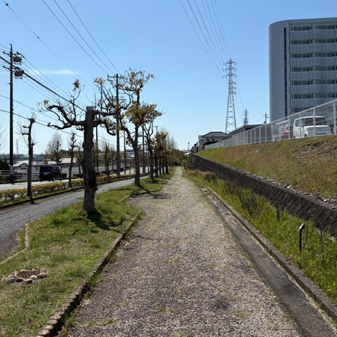 Fukuyoshi