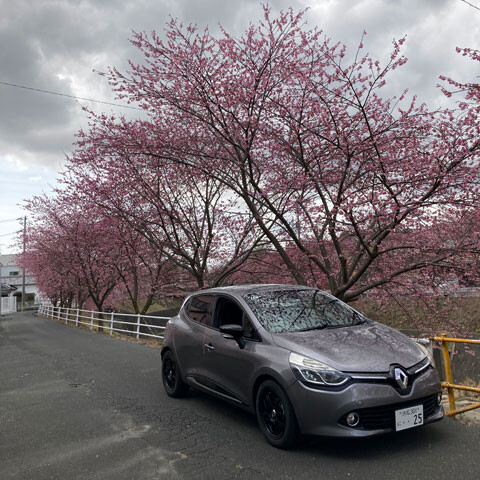 hanami