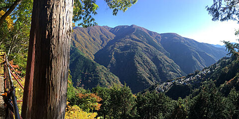 shimokuri