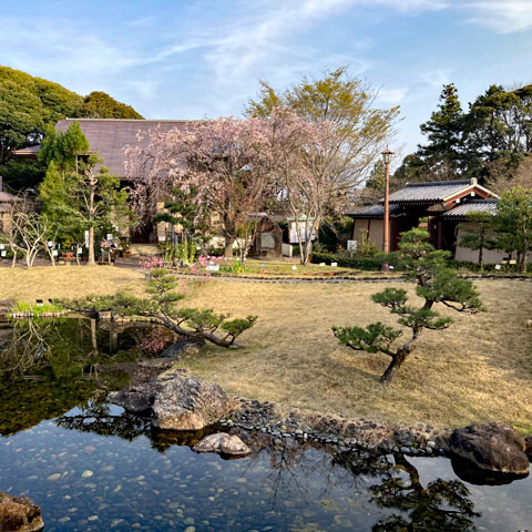 manyo