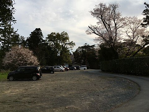 ohanami