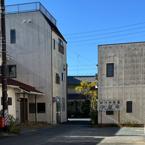 ToriyaChaya