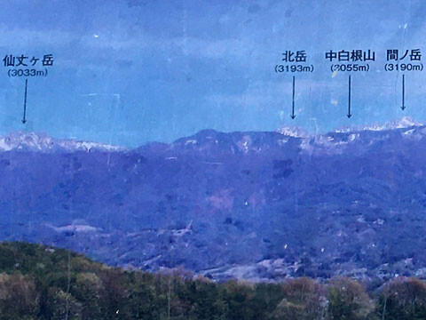 shimokuri