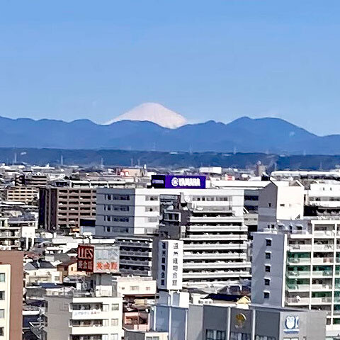 hamamatsu-jyo