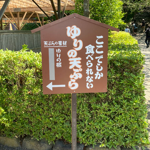 Ajisai