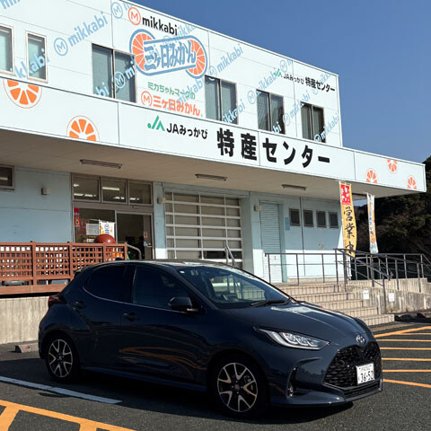 Mikkabi