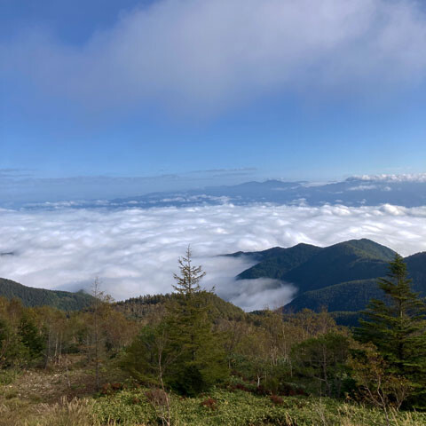 Lutecia