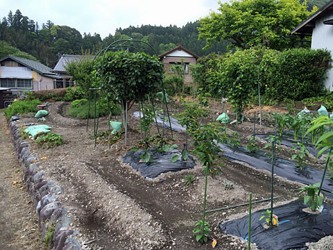 ��ͷ�����