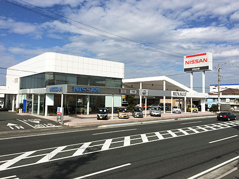 kangoo