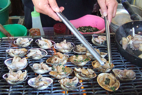 伊良湖サイクリング