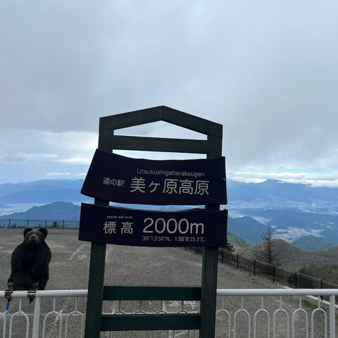 AllonsFrancaisKurumayama