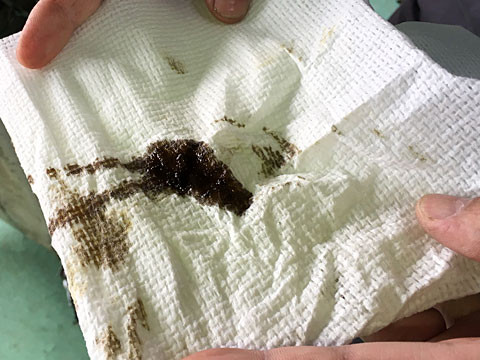 oil