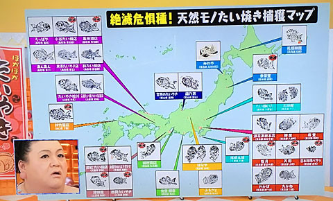 Nojee Chips やはり宮嶋康彦さん マツコの天然モノたい焼きの世界