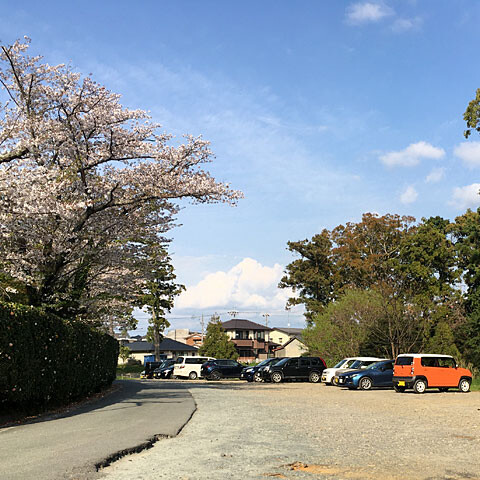 ohanami