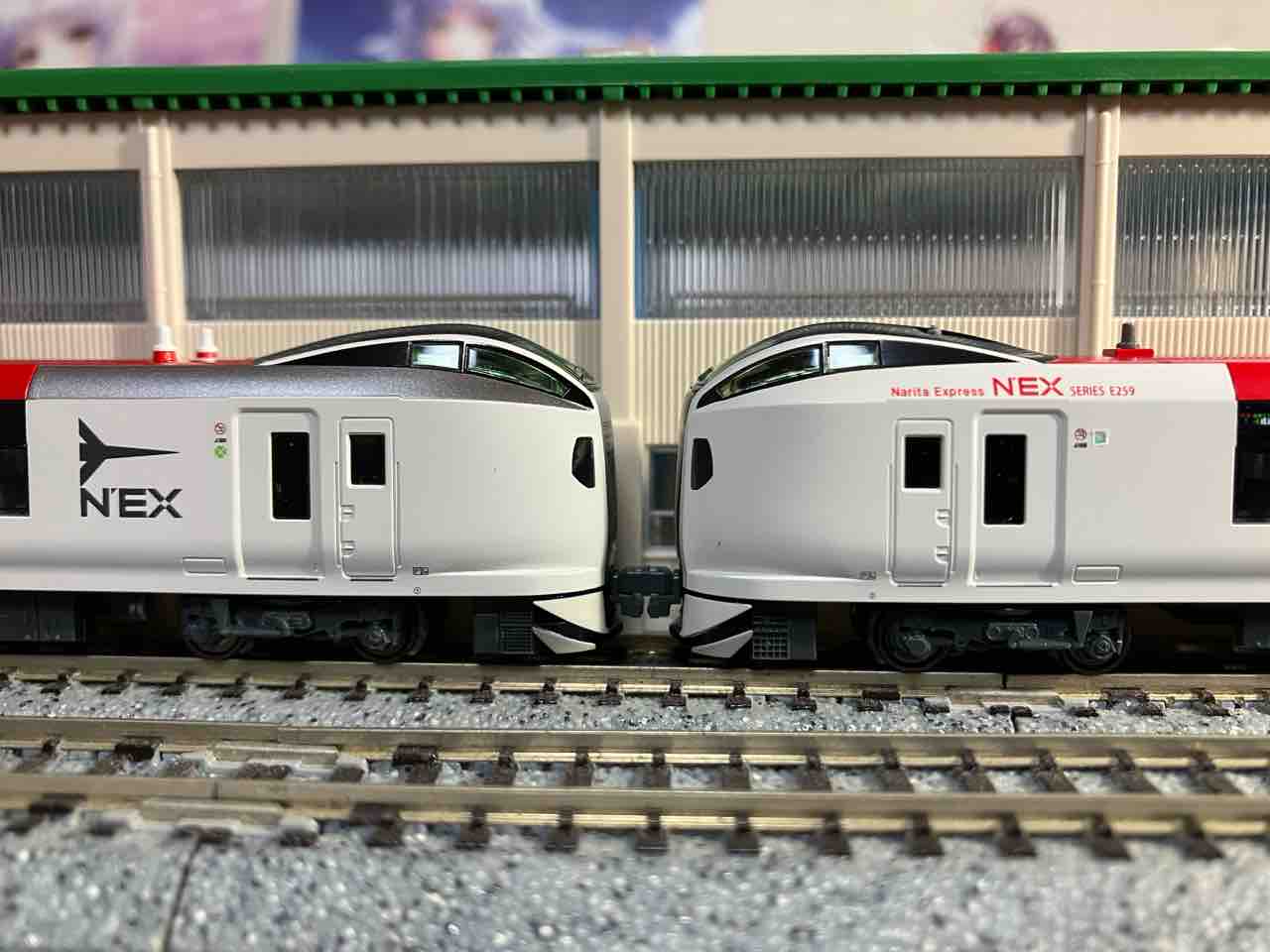 KATO E259系 成田エクスプレス リニューアルカラー 入線 : 夏島鉄道