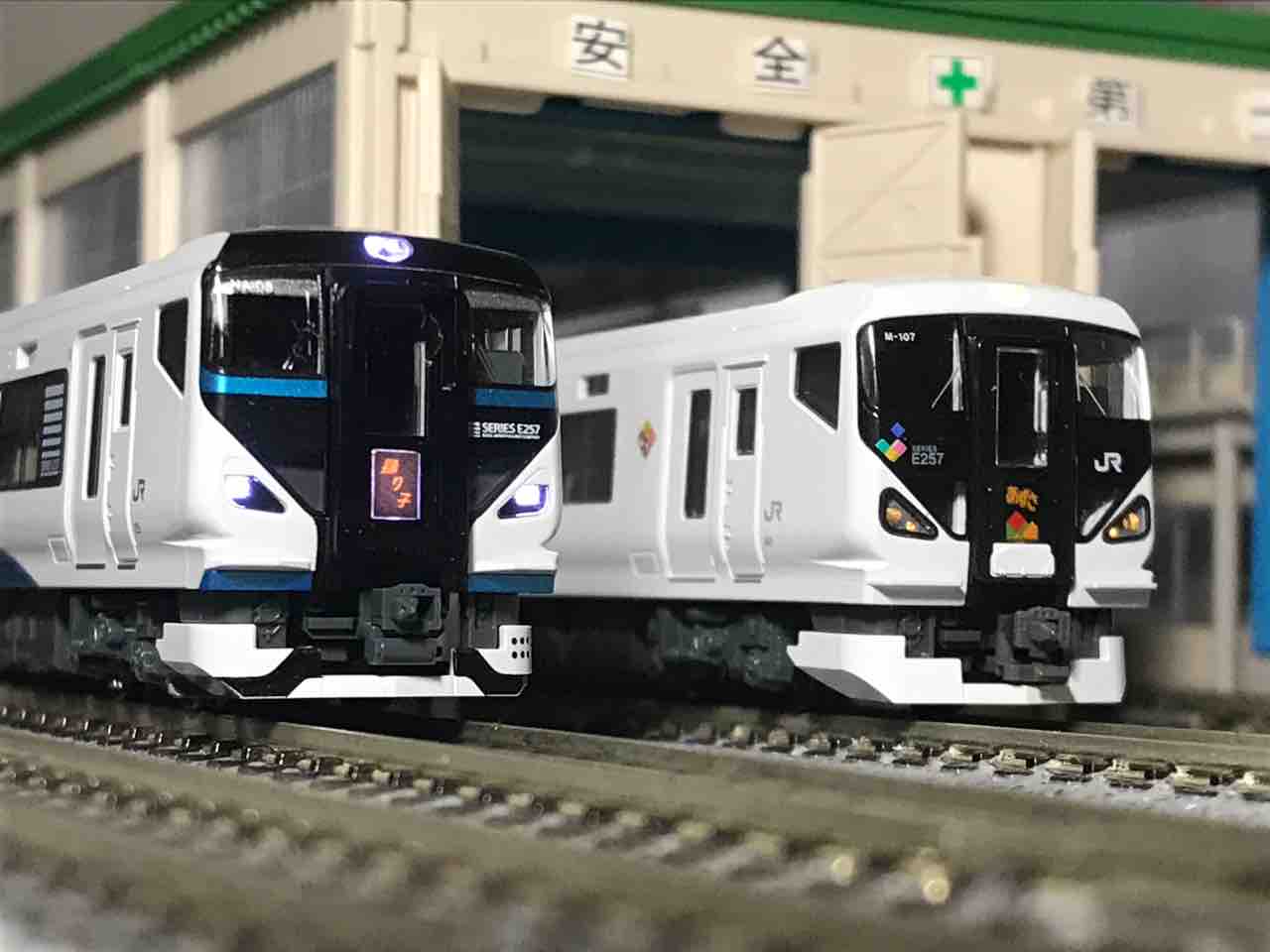 KATO E257系2000番台 踊り子 入線 : 夏島鉄道 KATO E257系2000番台 踊り子 入線 : 夏島鉄道