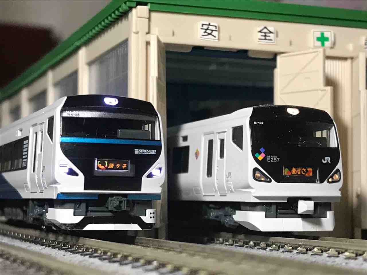 KATO E257系2000番台 踊り子 入線 : 夏島鉄道
