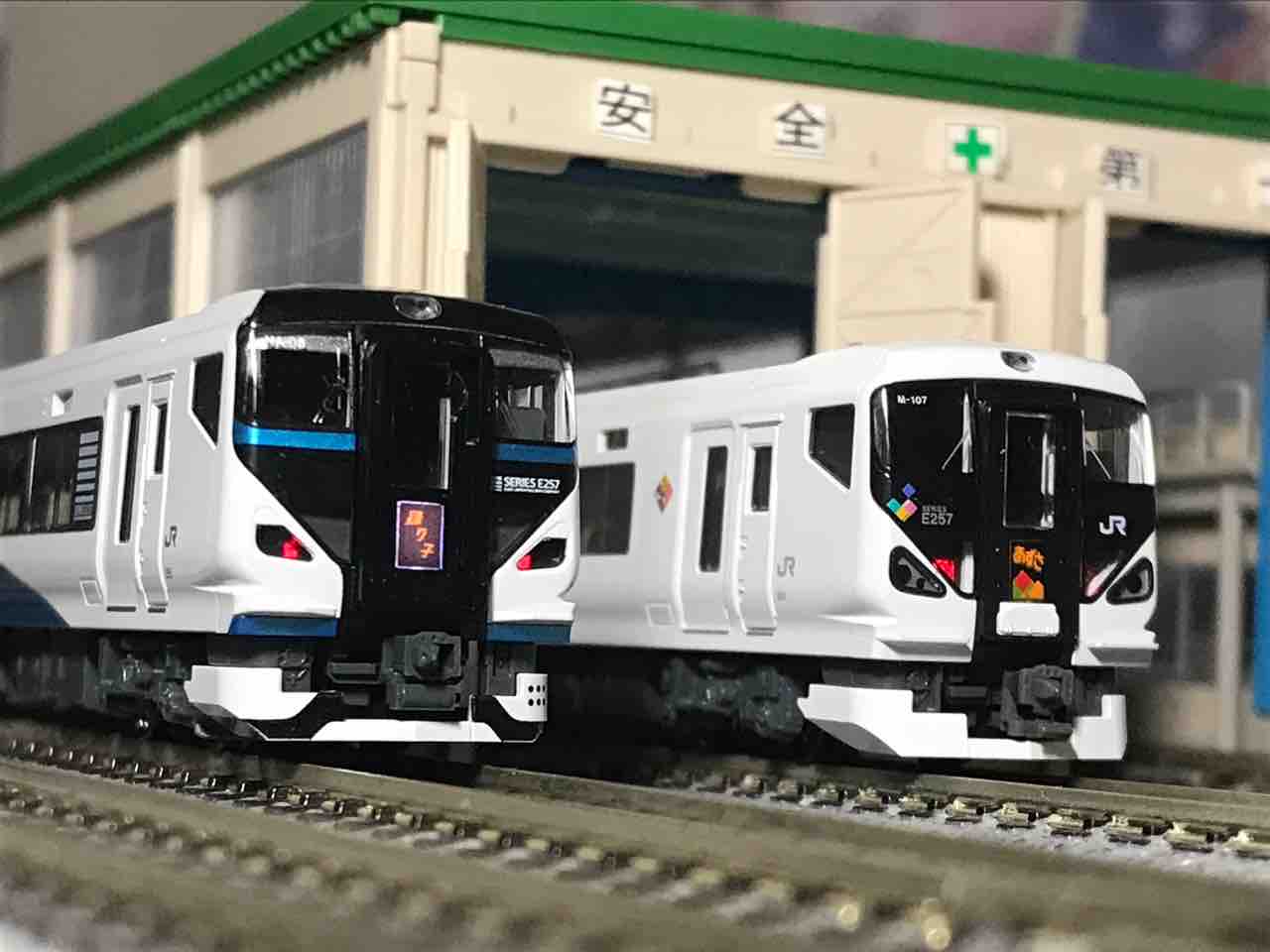 KATO E257系2000番台 踊り子 入線 : 夏島鉄道 KATO E257系2000番台 踊り子 入線 : 夏島鉄道