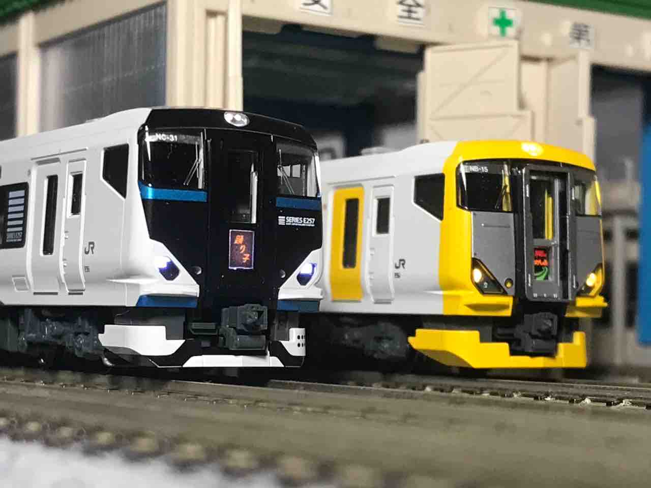 KATO E257系2500番台 踊り子 入線 : 夏島鉄道