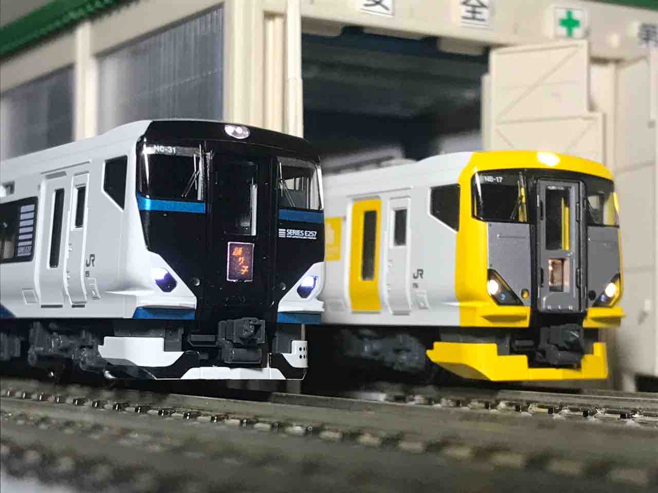 KATO E257系2500番台 踊り子 入線 : 夏島鉄道 KATO E257系2500番台 踊り子 入線 : 夏島鉄道