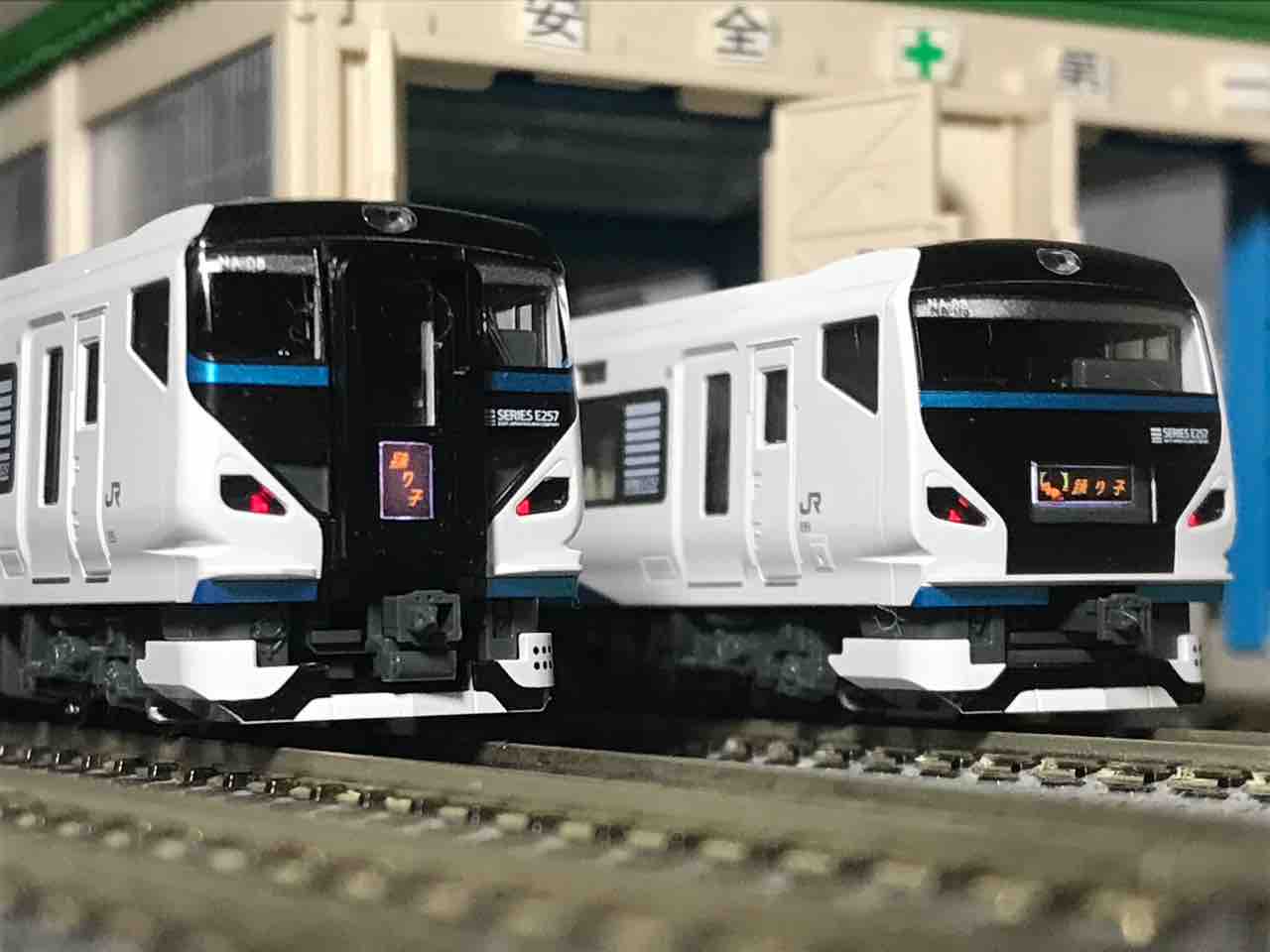 KATO E257系2000番台 踊り子 入線 : 夏島鉄道
