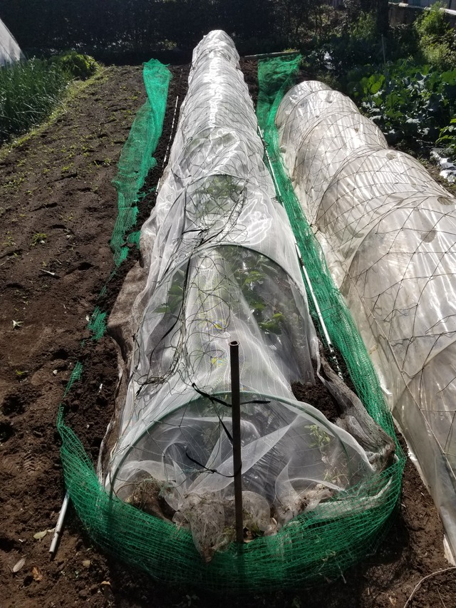 20230427_075935_copy_1512x2016