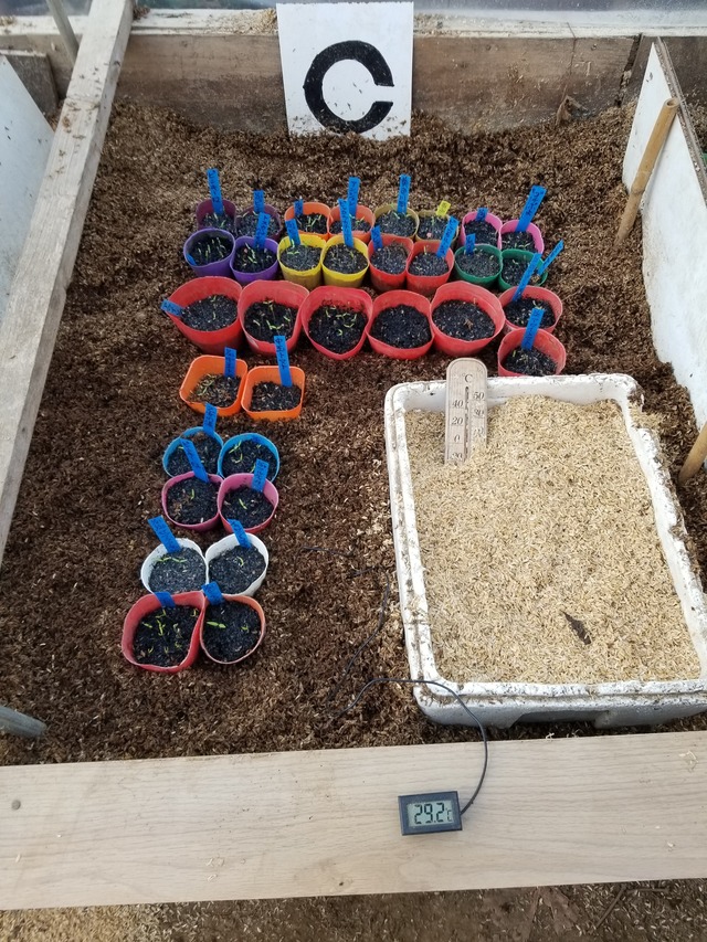 20240201_094912_copy_2268x3024