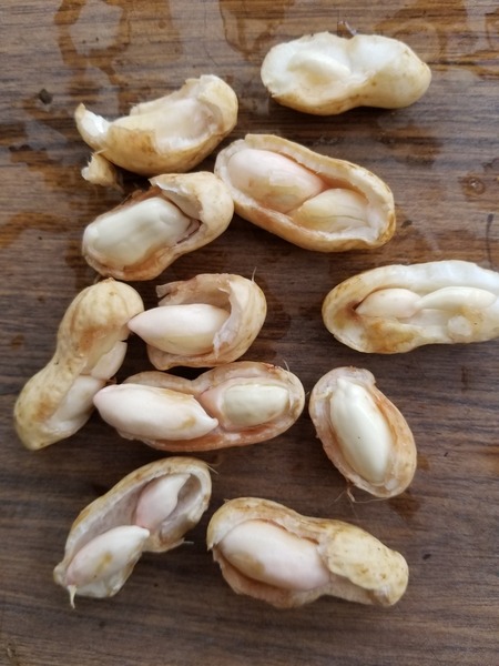 20190822_085612-1620x2160