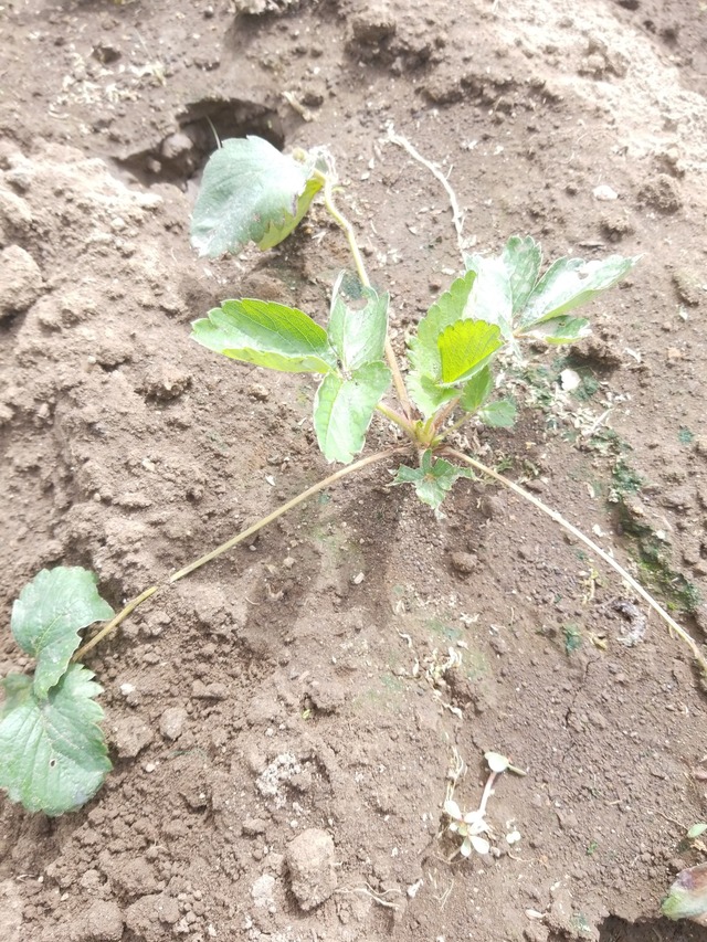 IMG_20231002_110124_copy_1512x2016