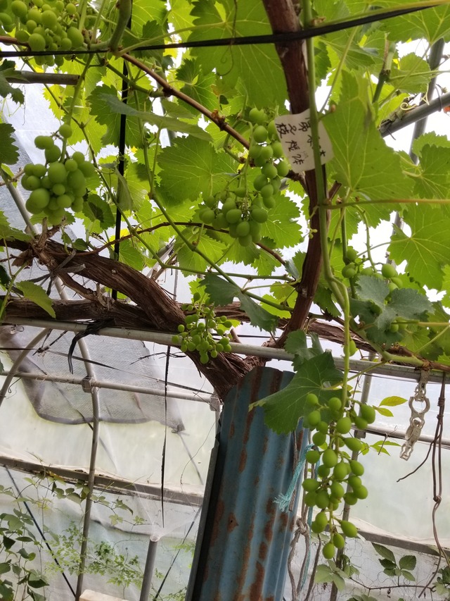 20210601_083107_copy_2268x3024